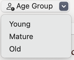 The birth section of a new character creation window showing the Age Group menu.